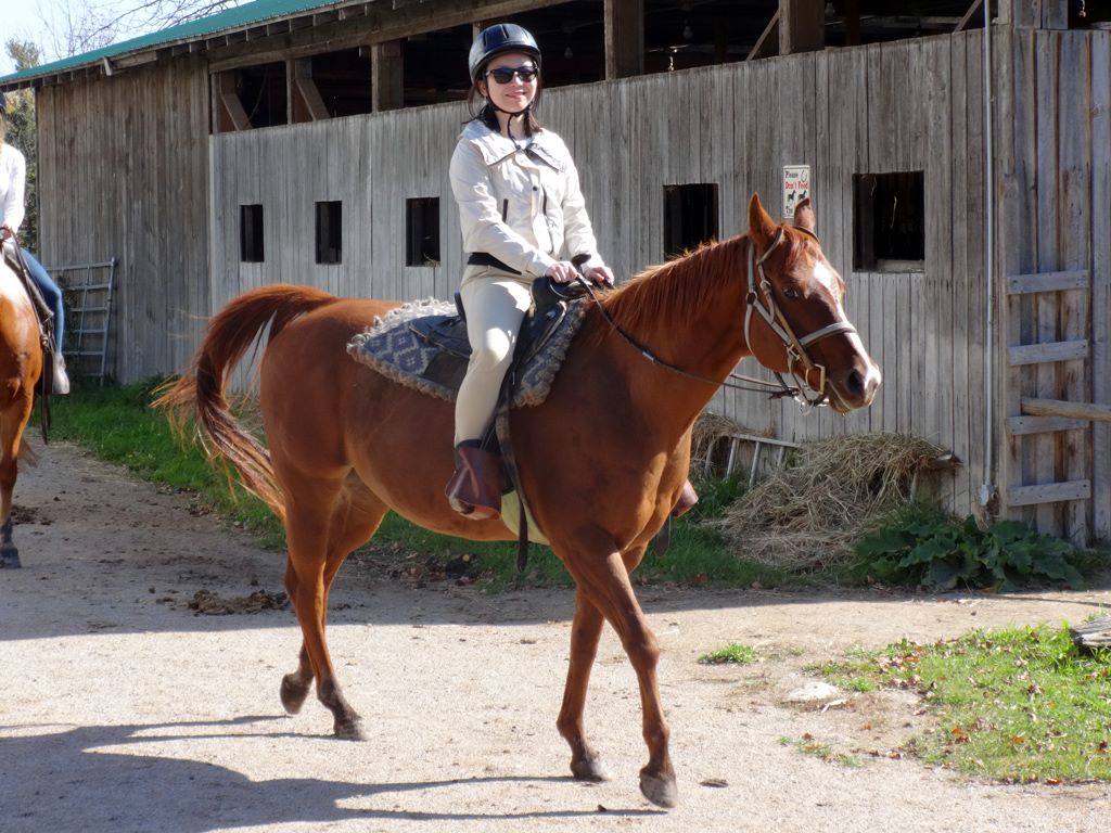 Horseback riding at Manitoulin